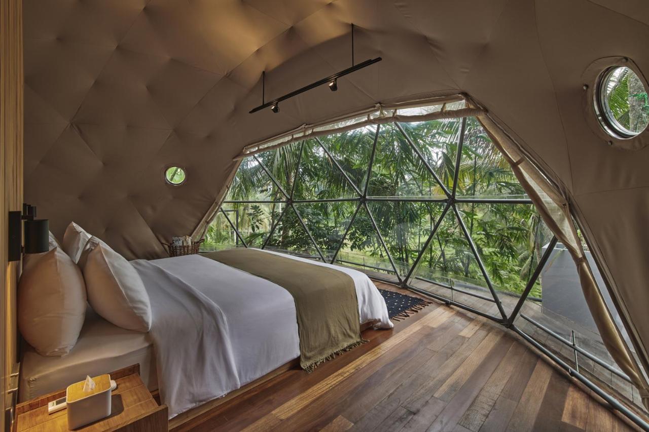 Lintang Luku Tent Resort Ijen, Banyuwangi Banyuwangi  Eksteriør billede