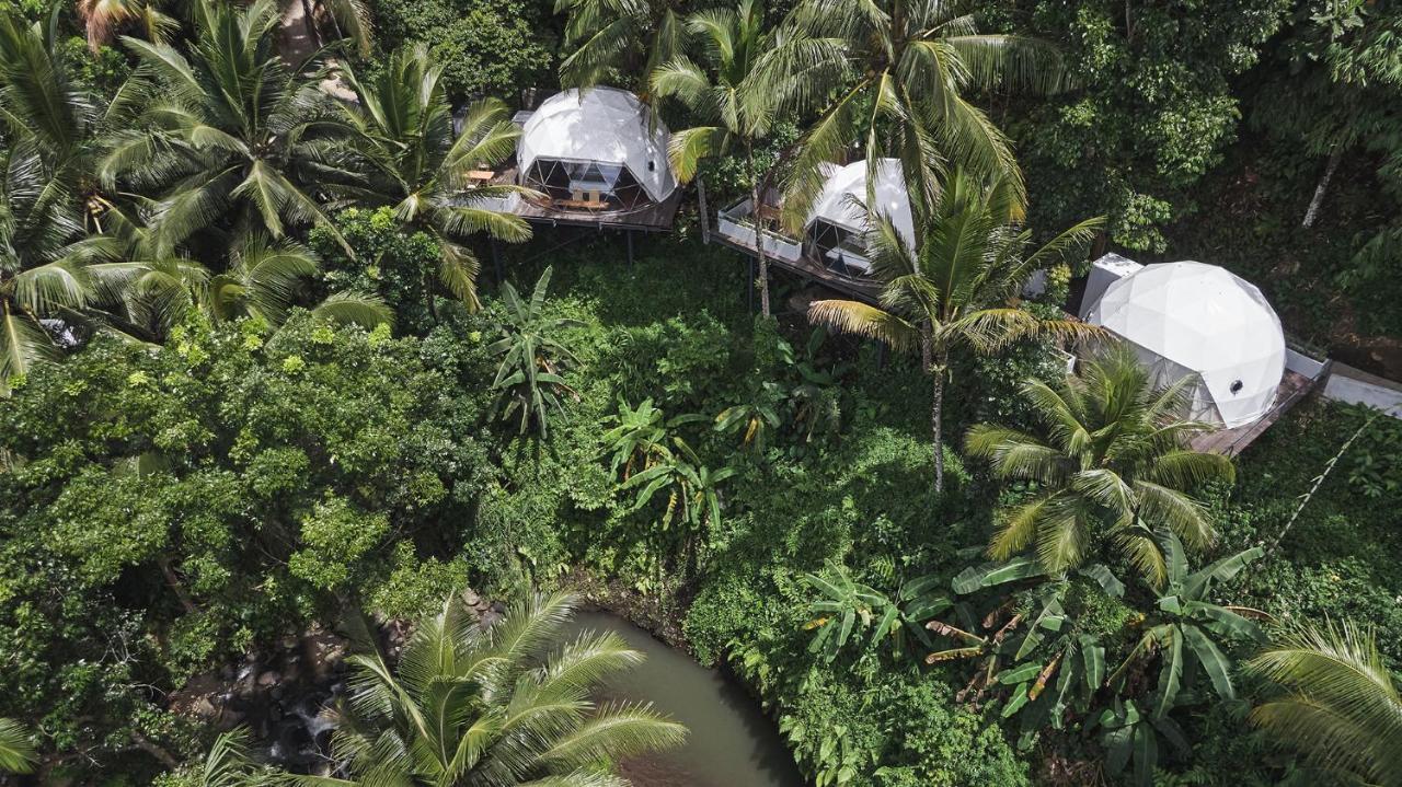Lintang Luku Tent Resort Ijen, Banyuwangi Banyuwangi  Eksteriør billede