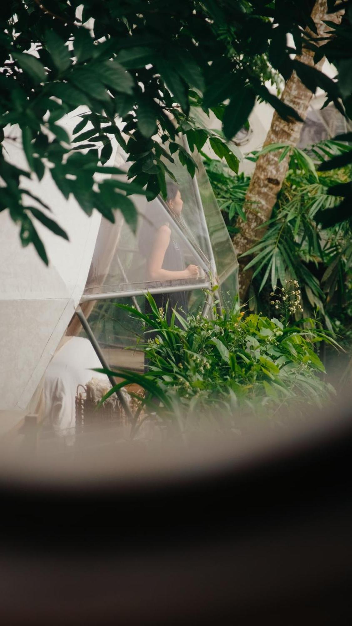 Lintang Luku Tent Resort Ijen, Banyuwangi Banyuwangi  Eksteriør billede