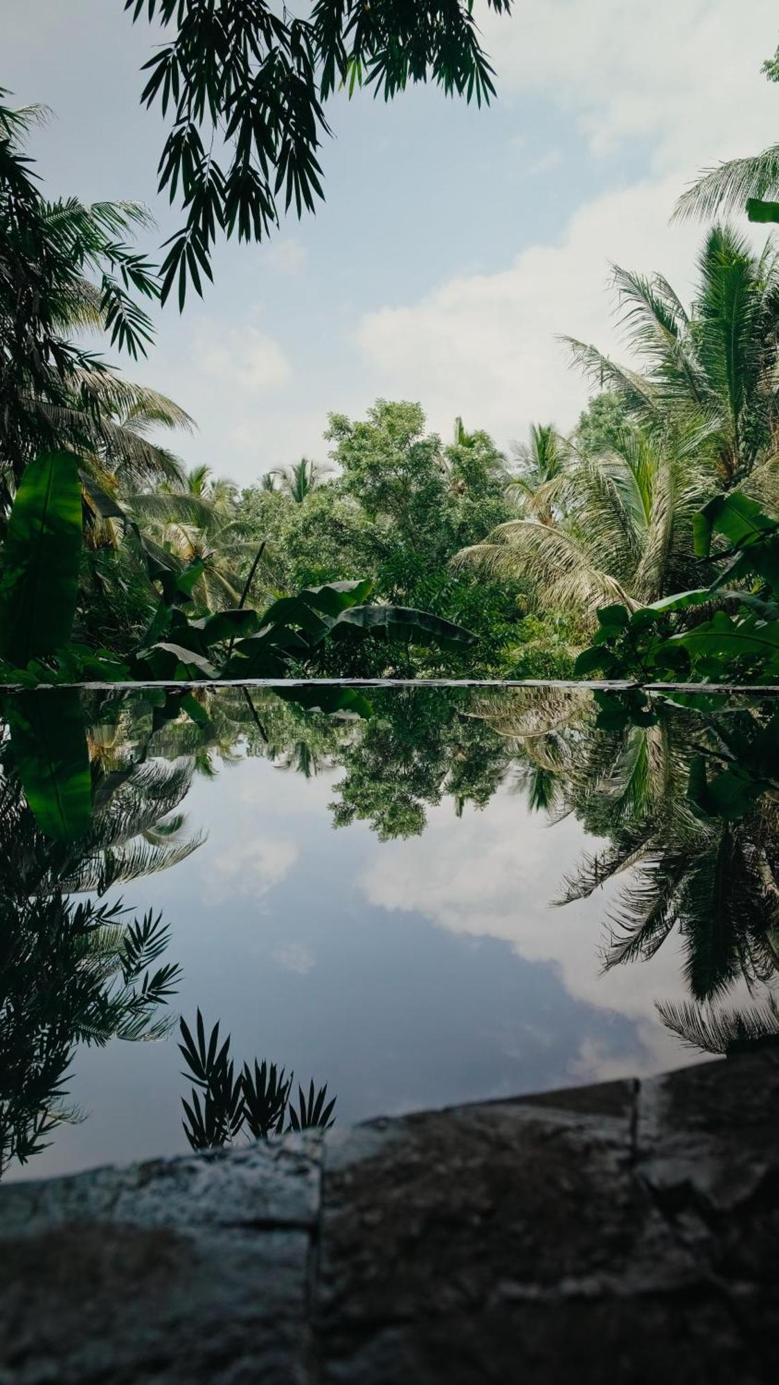 Lintang Luku Tent Resort Ijen, Banyuwangi Banyuwangi  Eksteriør billede