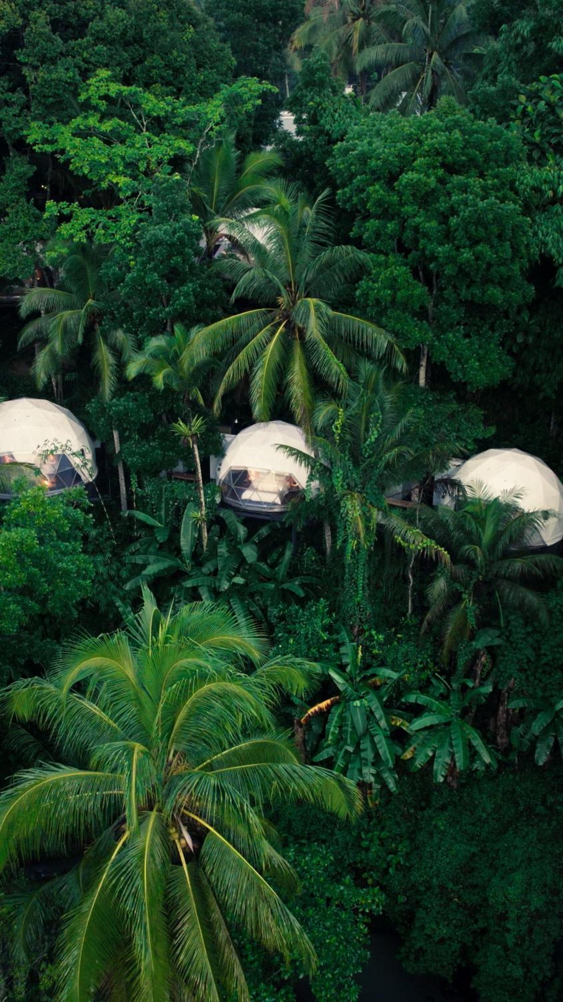 Lintang Luku Tent Resort Ijen, Banyuwangi Banyuwangi  Eksteriør billede